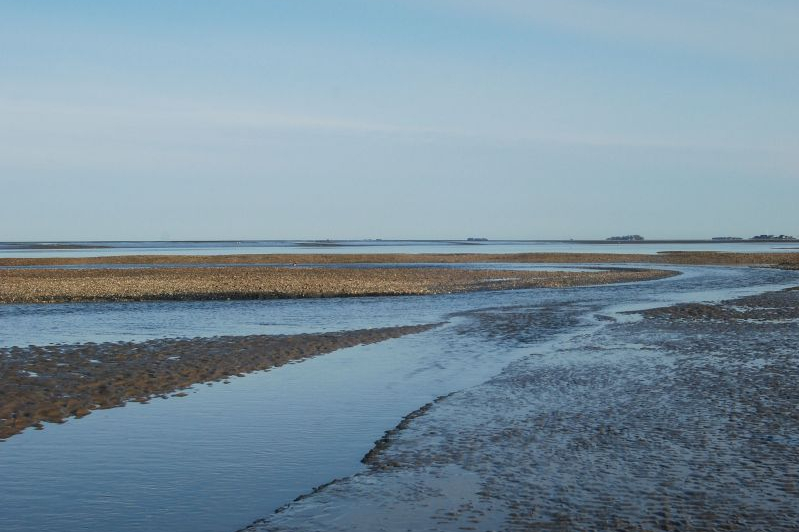 Blick auf das Wattenmeer zwischen Pellworm und Hallig Hooge.